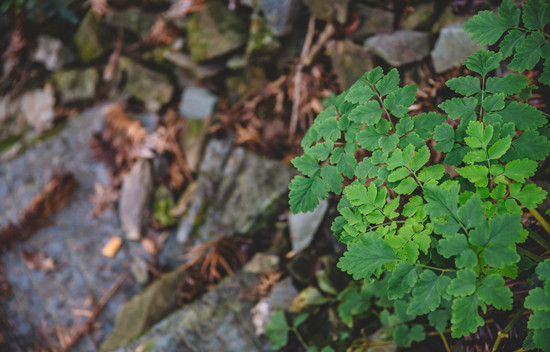 500437263_banner (1).jpg