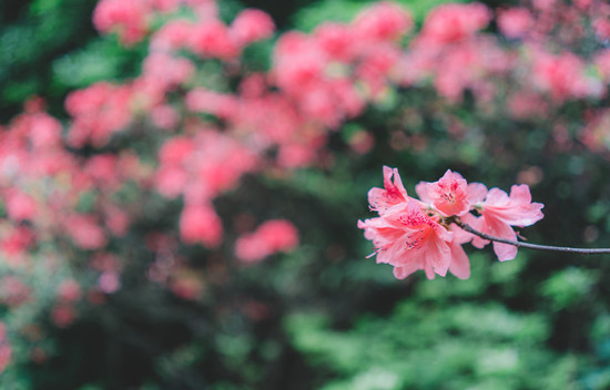 500357840_banner (1).jpg