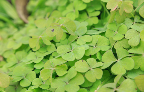 500253614_banner (1).jpg