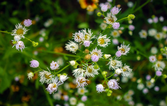 500534585_banner (1).jpg