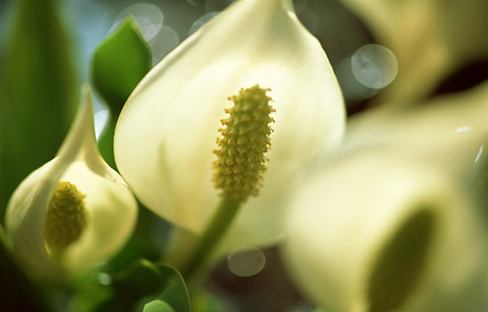 500550164_banner (1).jpg