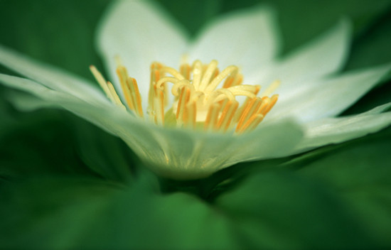 500550295_banner (1).jpg