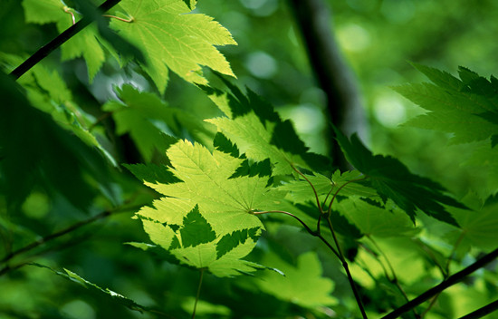 500550149_banner (1).jpg