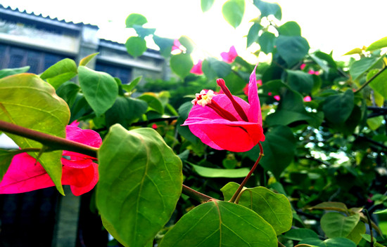 500159123_banner (1).jpg