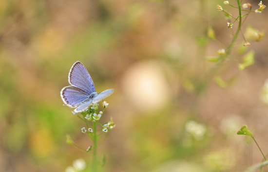 500556484_banner (1).jpg