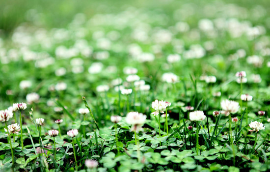 500636439_banner (1).jpg