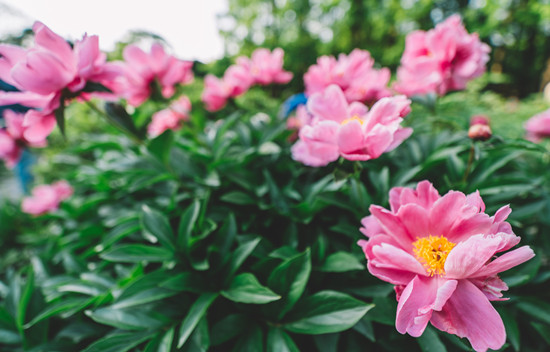 500356933_banner (1).jpg