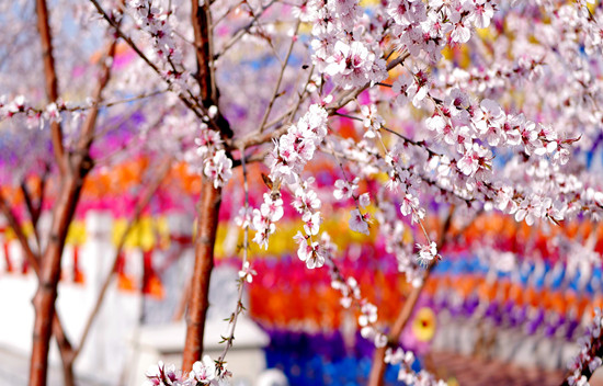 500329579_banner (1).jpg