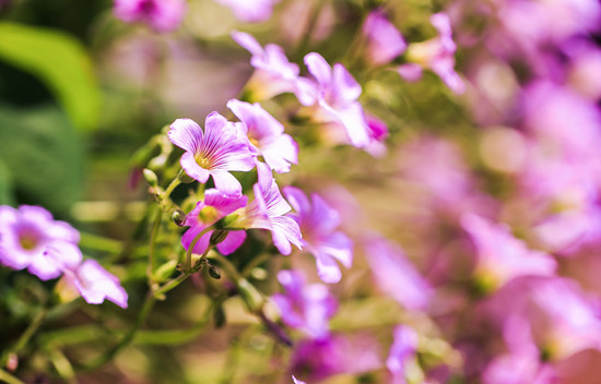 500448403_banner (1).jpg