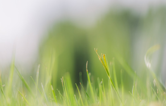 500118824_wx (1).jpg