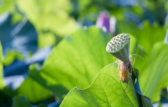 500485866_wx (1).jpg