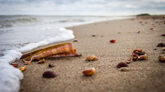 171035_wx (1)_conew1.jpg