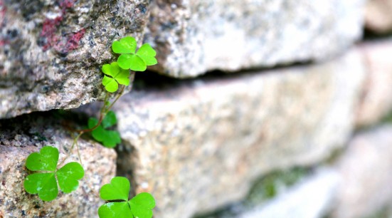 500073112_wx (1)_conew1.jpg