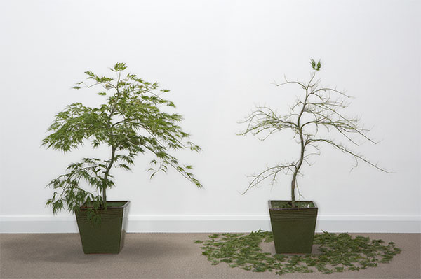 1582522722761450.jpg 摄图网_501457568.jpg