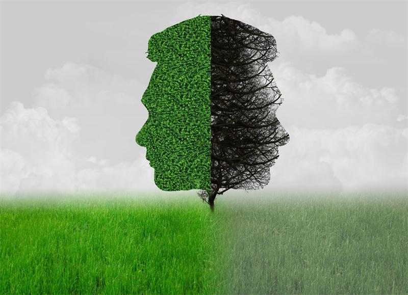 1608017971131913.jpg 摄图网_500534918.jpg