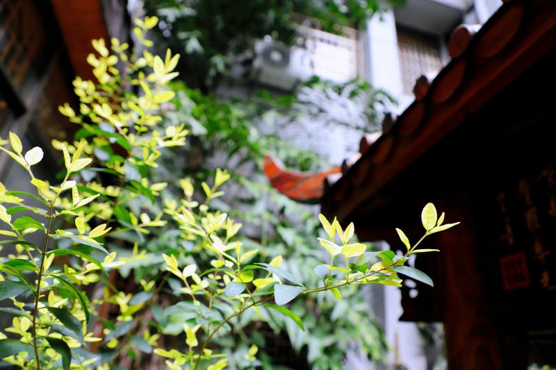 1679878091366150.jpg IMG_6043_副本.jpg