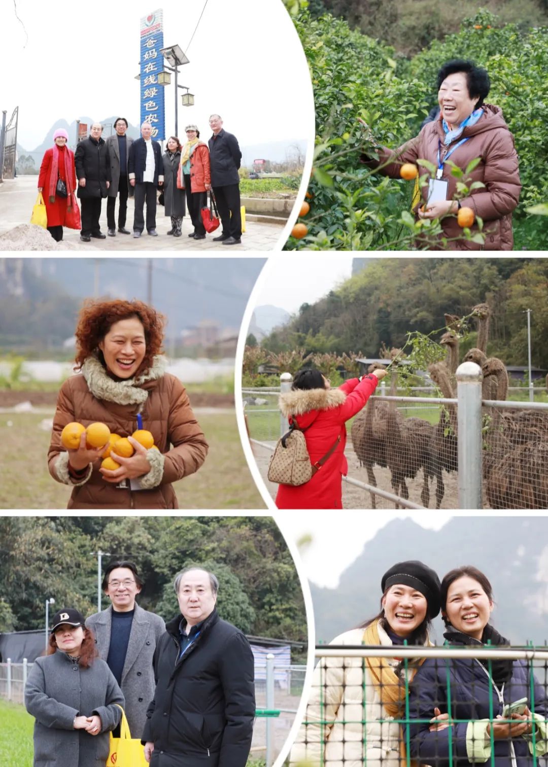 1721974326171653.jpg 开心农场.jpg