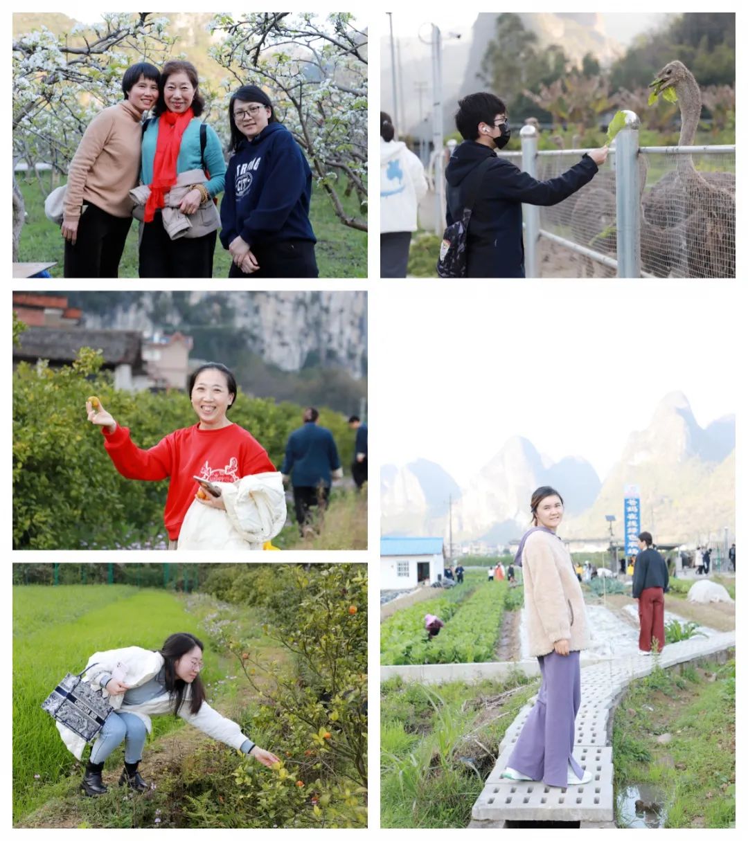 五天觉醒之旅，开启幸福人生新篇章——第76期“生命觉醒 健康幸福”培训圆满结束