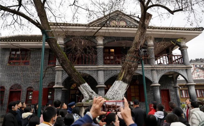 1773539878909218.jpg 屏幕截图 2026-03-15 095532.jpg